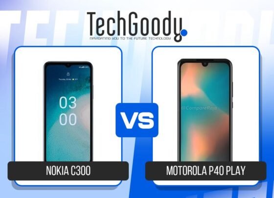 Image of Nokia C300 vs Motorola P40 Play Comparison