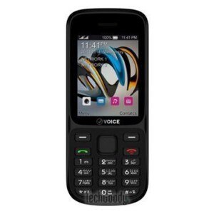 Voice V445 Price & Specs